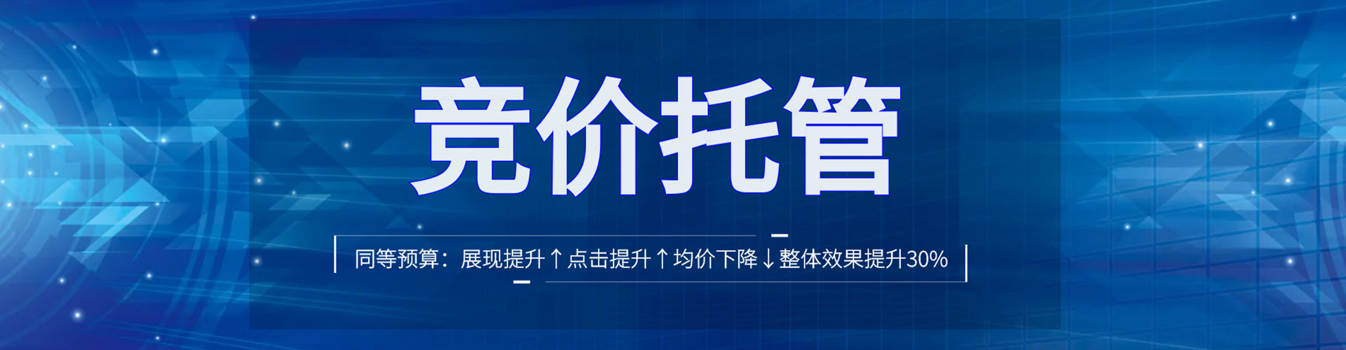 贵州竞价托管